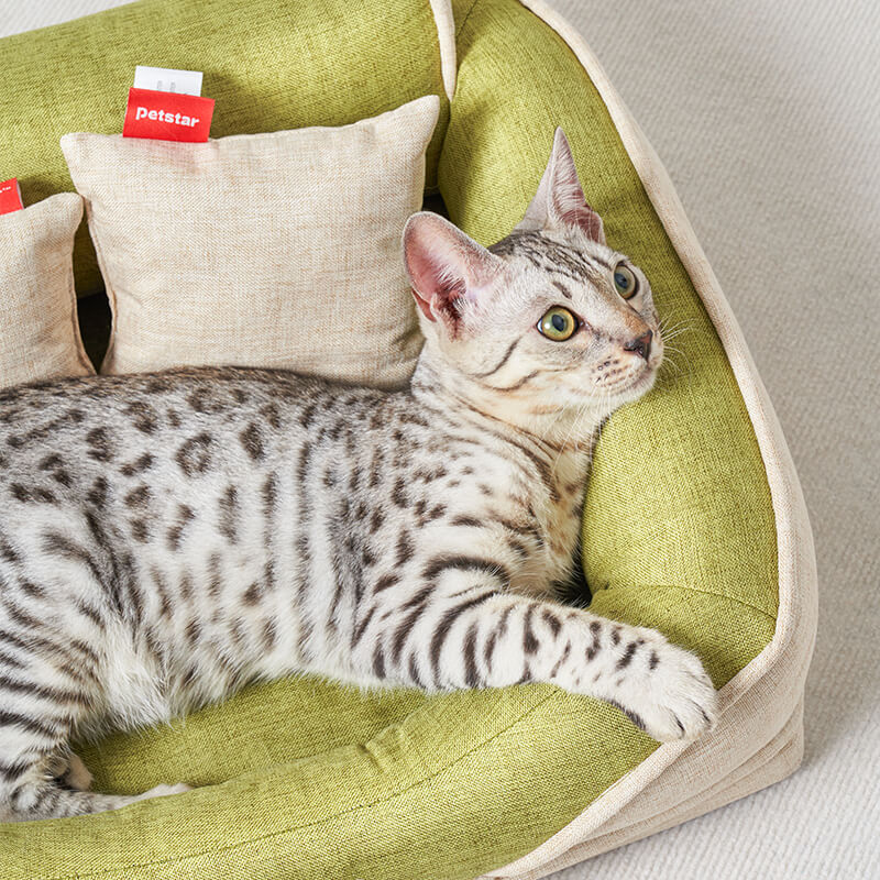 Golden Retriever sleeping on Kovapet washable cat bed