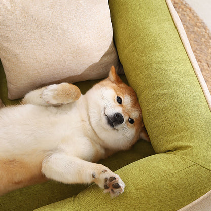 Golden Retriever sleeping on Kovapet washable dog bed