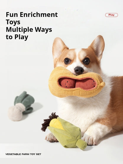 Corgi playing with Kovapet interactive peanut dog toy with crinkle shell