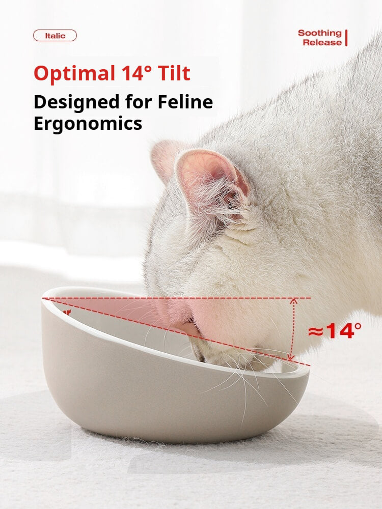 Cat eating from elevated anti-vomiting bowl 14 degree tilt
