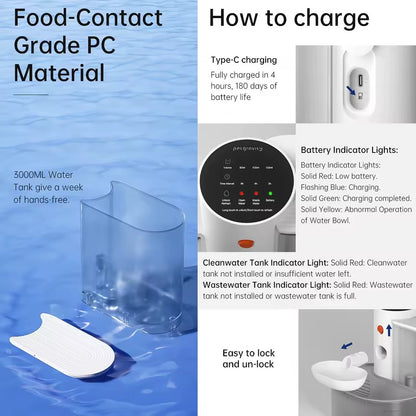 Food grade 304 stainless steel bowl and type-c charging port details