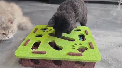 Kovapet™ 'Hide & Seek' Interactive Cat Puzzle Box | Enrichment Toy for Indoor Cats